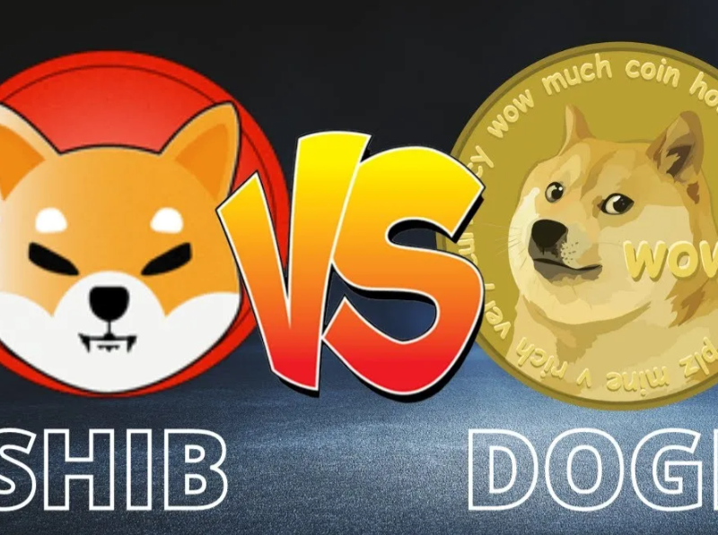 Reasons to Choose Dogecoin Over Shiba Inu